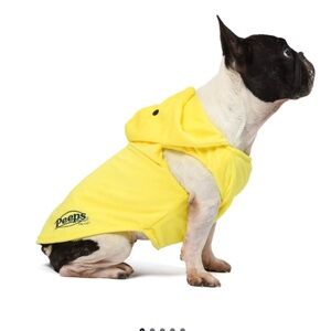 🐥 Pet Dog costume